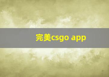 完美csgo app